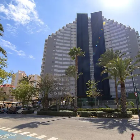 Homeincalpe Apolo Xiv * קלפה