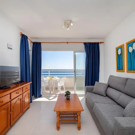 Homeincalpe Apolo Xiv קלפה