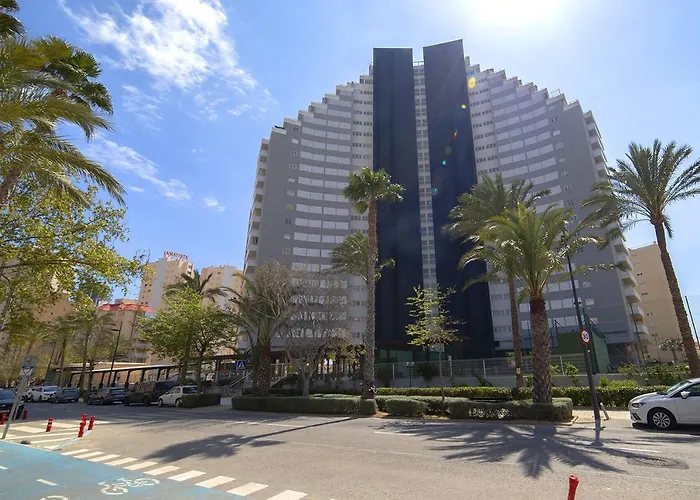 Homeincalpe Apolo Xiv * 卡尔佩
